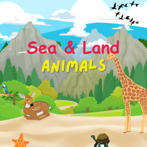 Animal Coloring Book